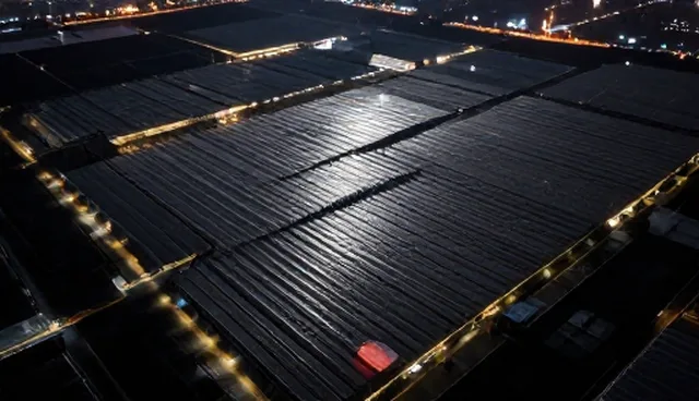 网站使用建议:选型与运维两个关键环节解析